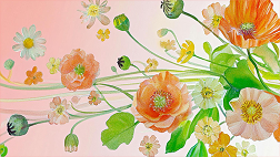 The Myth of You: Why We Love Quizzes That Tell Us Who We "Used to Be"